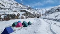Search for Snow Leopards with Valerie Parkinson
