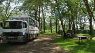 Gorillas & Masai Mara – Camping Reverse