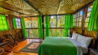 Ecuador Cloud Forest Add-on Tour
