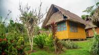 Amazon Add-on Tour – Yarina Lodge