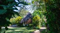 Discover Botswana & Victoria Falls