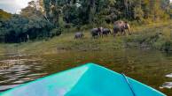 Wild Glamping Gal Oya