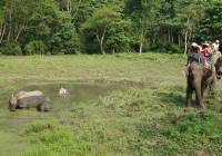 Tiere beobachten in Chitwan