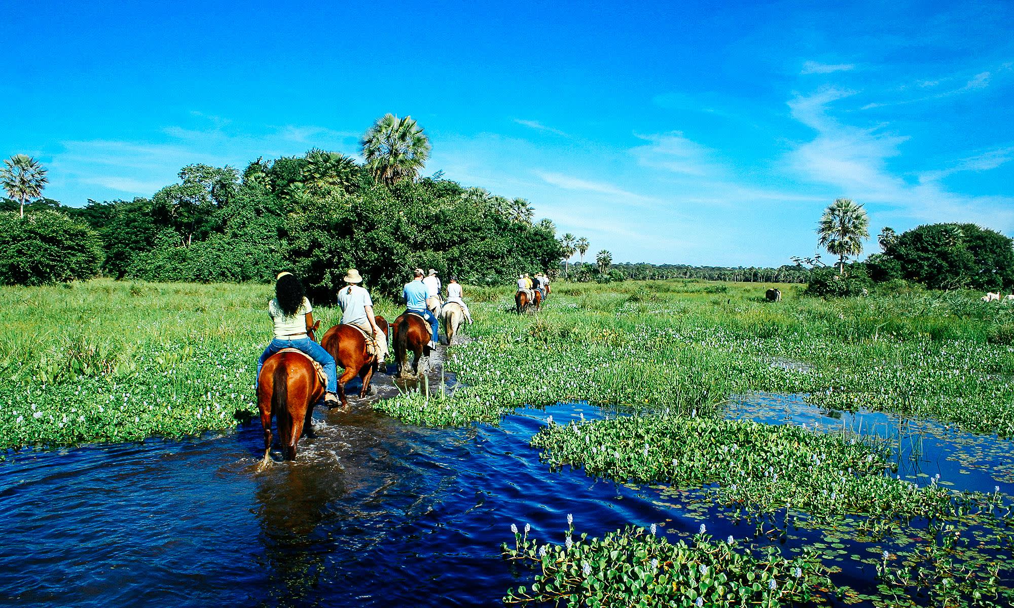 Horseback Riding in Pantanal