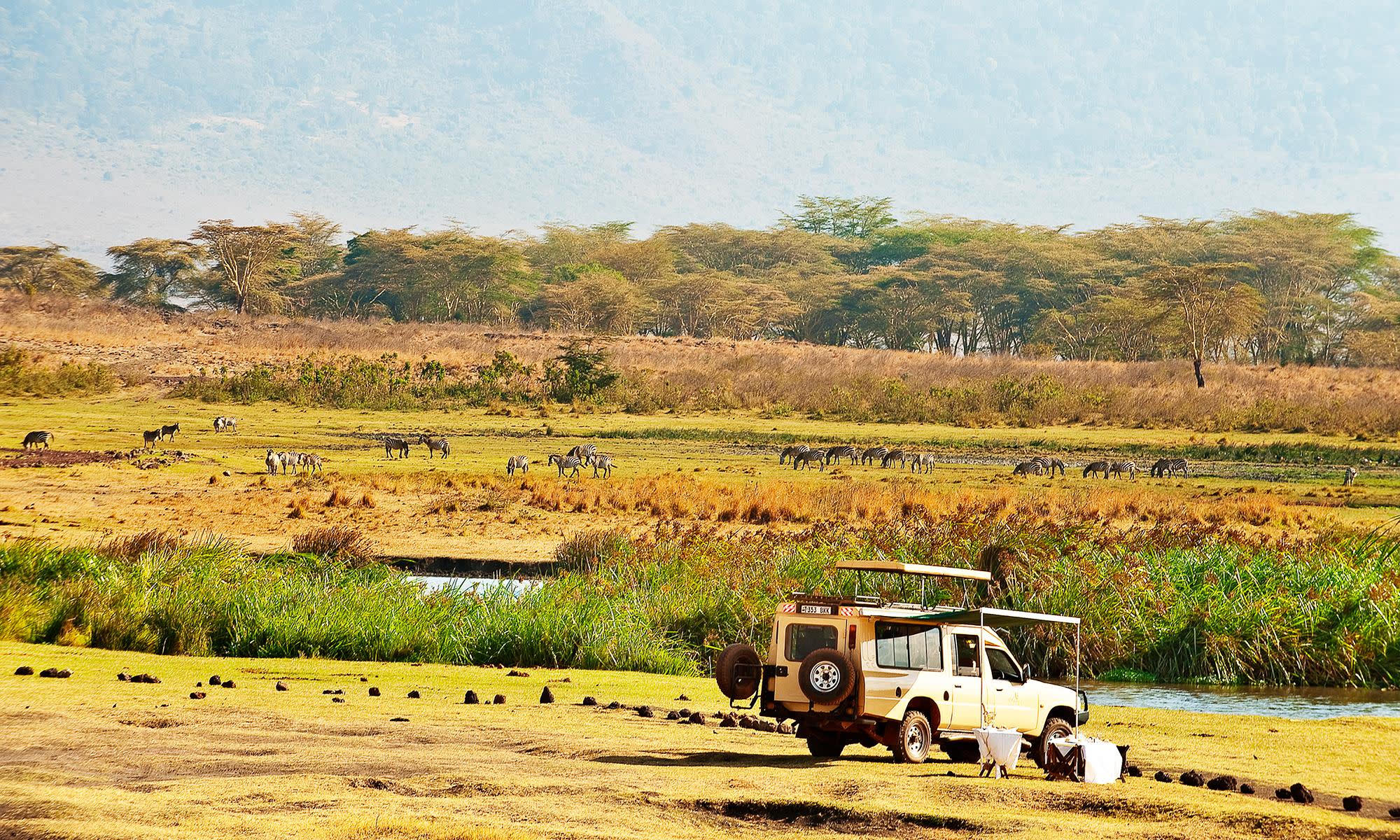 Ngorongoro