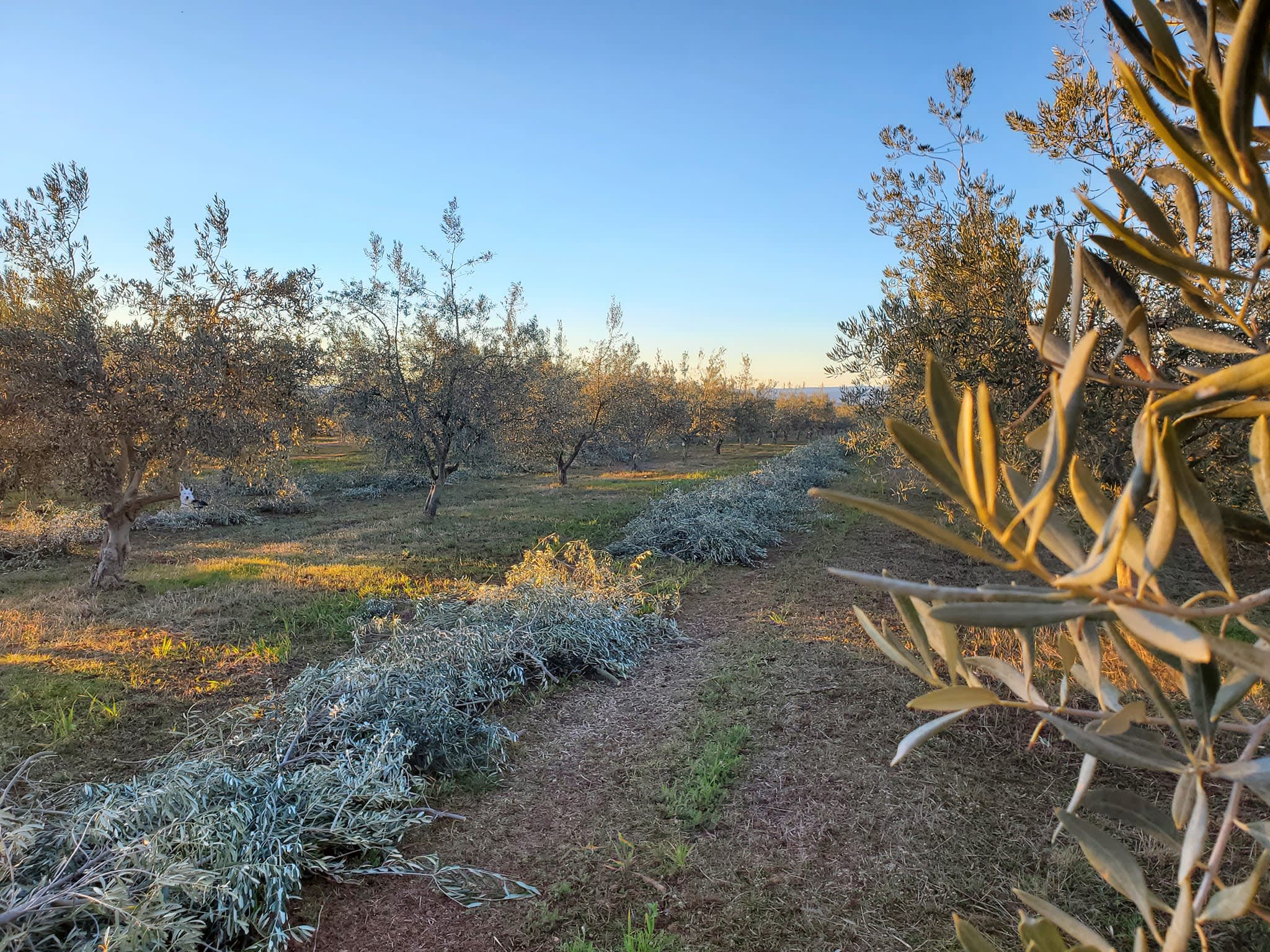 12 New Exodus Adventures You Need on Your Radar for Summer 2026