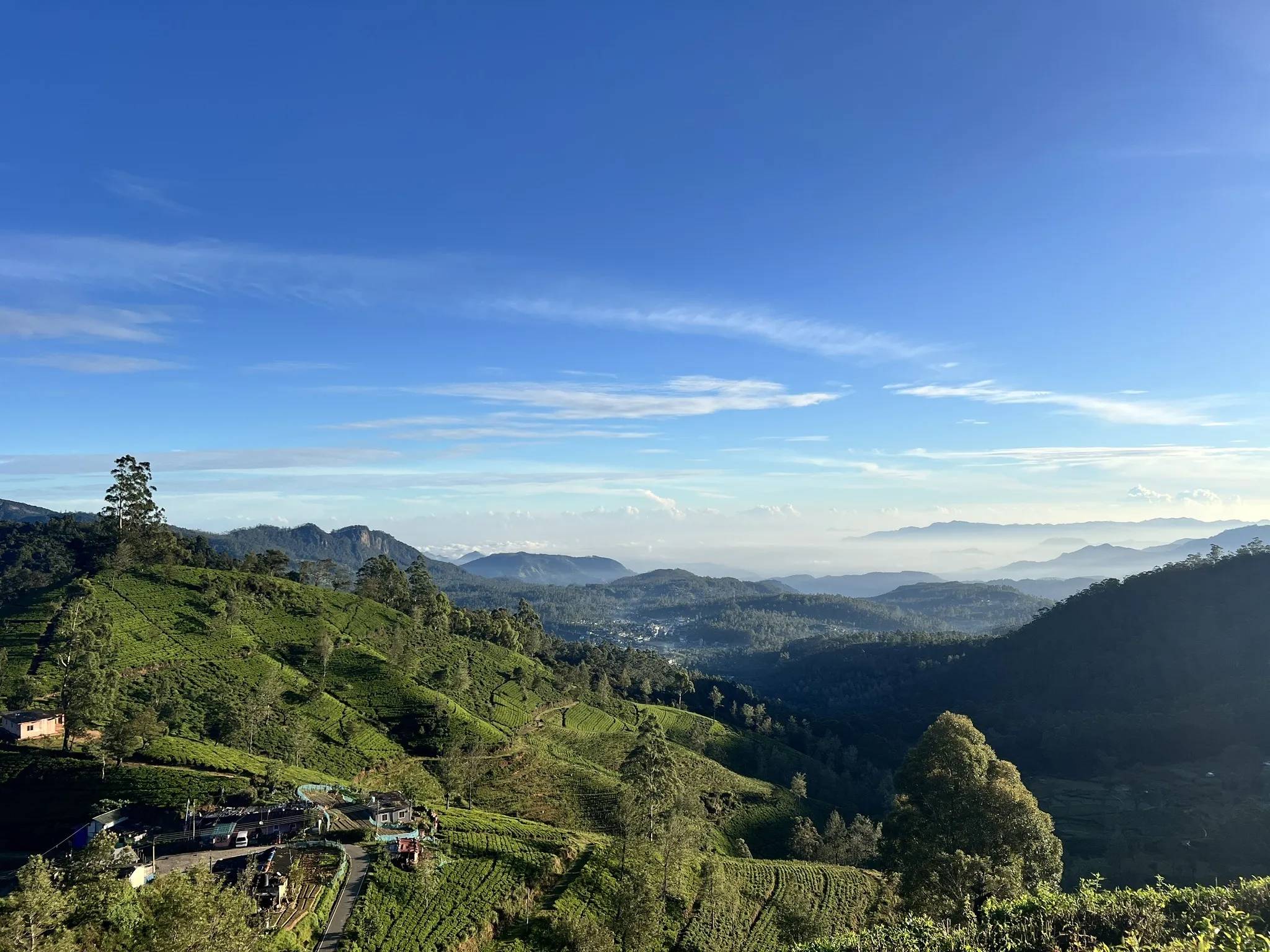 Island Insider: The Best Way to Explore Sri Lanka? Here Are Your Top 3 Options 