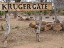 Kruger Gate