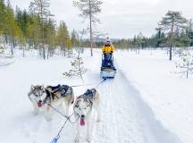 Finnish Wilderness Week