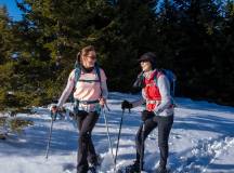 Snowshoeing in the Dolomites – Premium Adventure