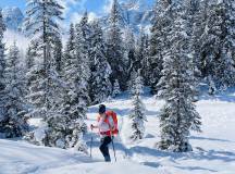 Snowshoeing in the Dolomites – Premium Adventure