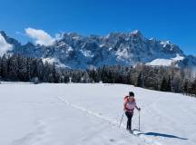 Snowshoeing in the Dolomites – Premium Adventure