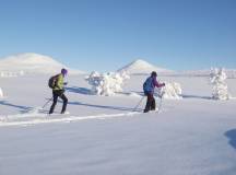 Cross-Country Skiing in Venabu