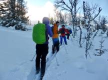 Norway Cross-country Skiing