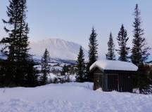 Norway Cross-country Skiing