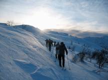 Norway Cross-country Skiing