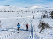 Cross-Country Skiing in Venabu