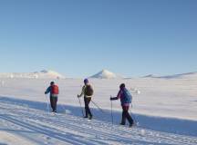 Cross-Country Skiing in Venabu