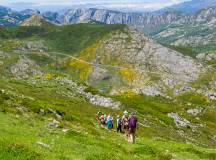 Walking the Picos de Europa