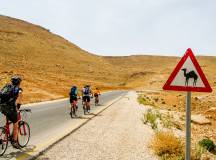 Petra & Wadi Rum by Bike