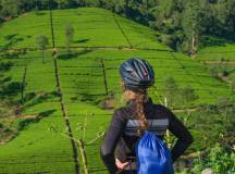 Cycle the Back Roads of Sri Lanka