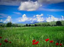 Cycling in Albania