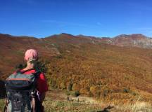 Walking in Tuscany