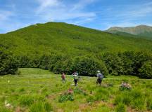 Walking in Tuscany