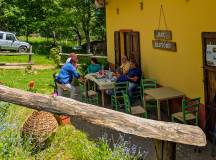 Walking in Tuscany
