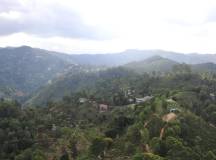 Cycle the Back Roads of Sri Lanka