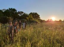 Botswana & Zimbabwe Lodge Safari