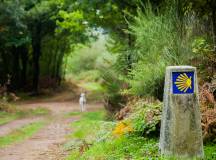 Camino de Santiago Trek