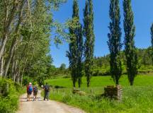 Camino de Santiago Trek