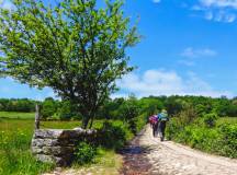 Camino de Santiago Trek