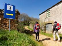 Camino de Santiago Trek