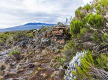 Kilimanjaro Climb – Lemosho Route