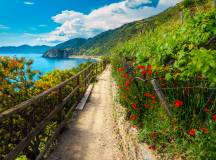 Walks of the Cinque Terre and Portofino