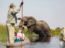Botswana & Zimbabwe Lodge Safari