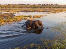 Botswana & Zimbabwe Lodge Safari