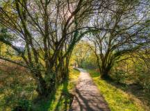 Camino de Santiago Trek