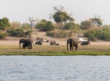 Botswana & Zimbabwe Lodge Safari