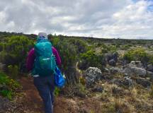 Kilimanjaro Climb Rongai Route