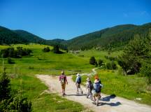 Bulgaria: Rodopi Mountains