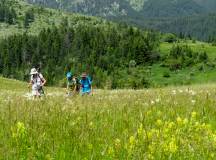Bulgaria: Rodopi Mountains