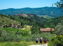 Tuscany Walks & Chianti Wines