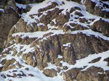 Search for Snow Leopards with Valerie Parkinson