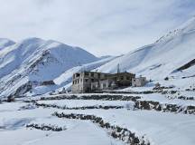 Search for Snow Leopards with Valerie Parkinson