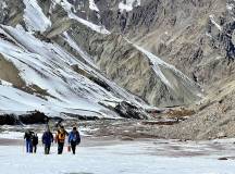 Search for Snow Leopards with Valerie Parkinson