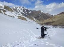 Search for Snow Leopards with Valerie Parkinson