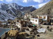 Search for Snow Leopards with Valerie Parkinson